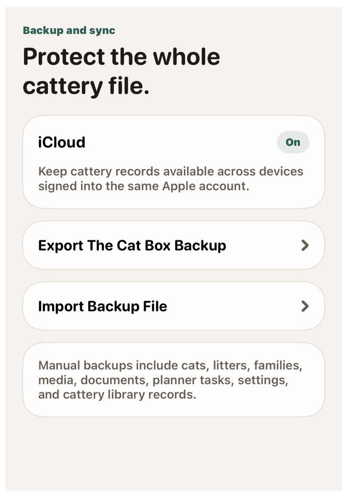 Backup and iCloud continuity preview.