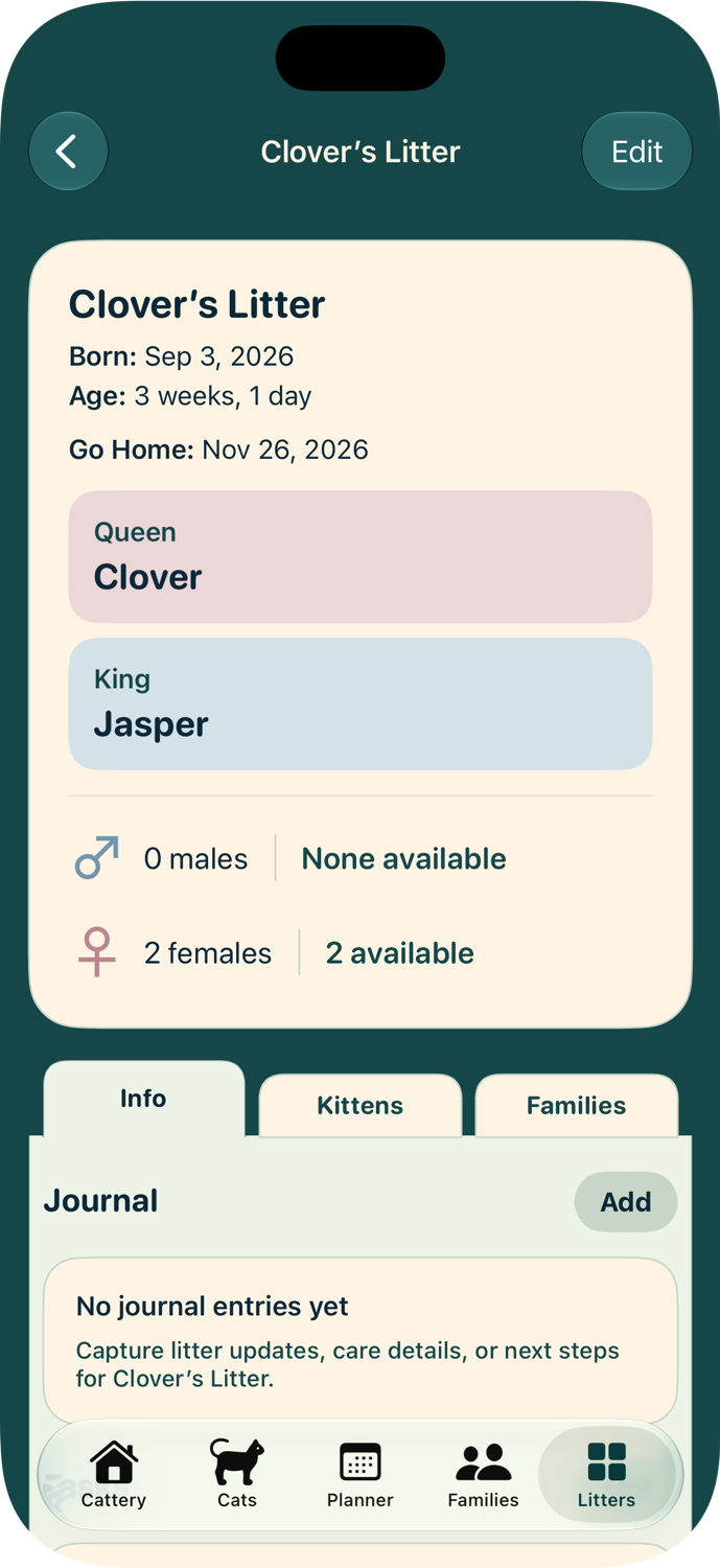 Clover’s litter with parents, go-home date, and two available female kittens.