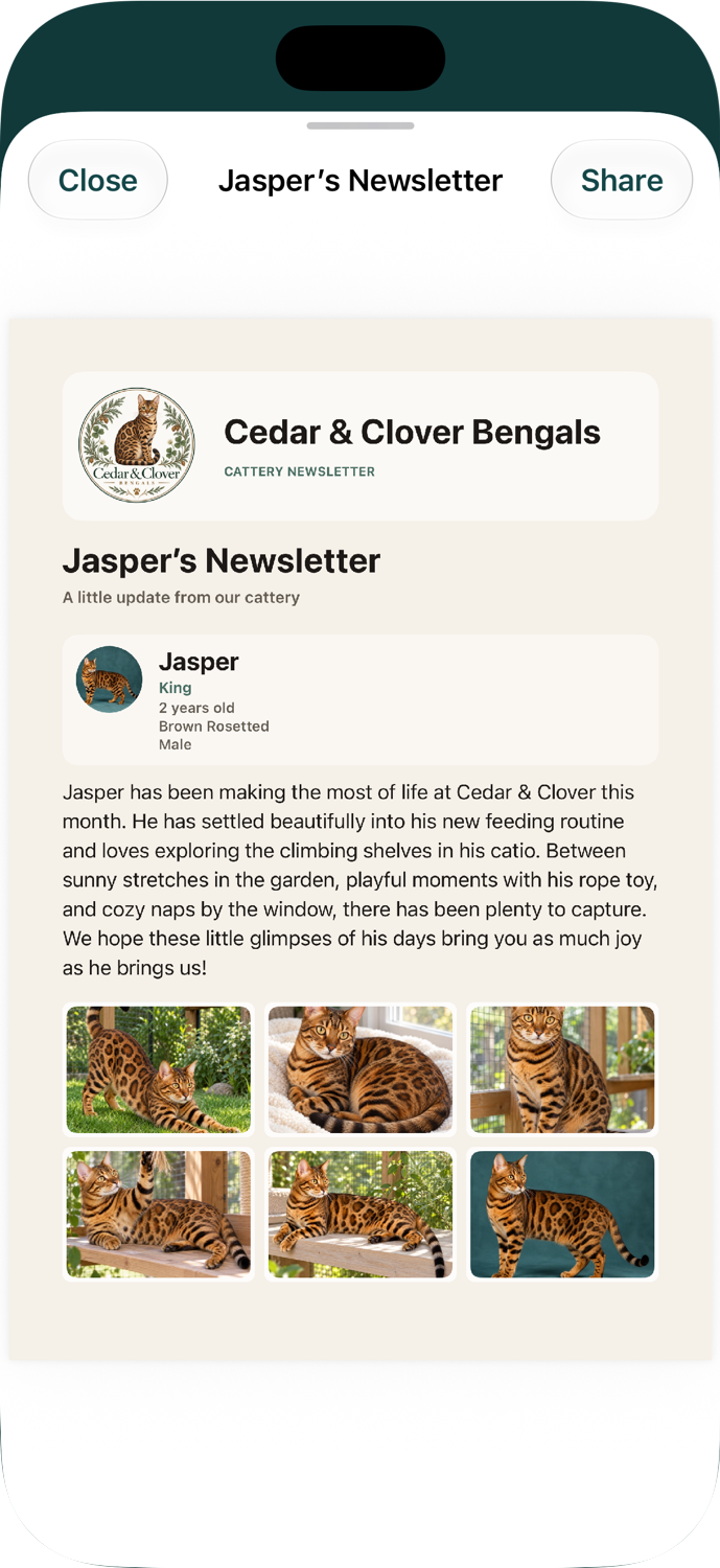 Finished Jasper newsletter with the cattery logo, a narrative summary, and six cat photos.